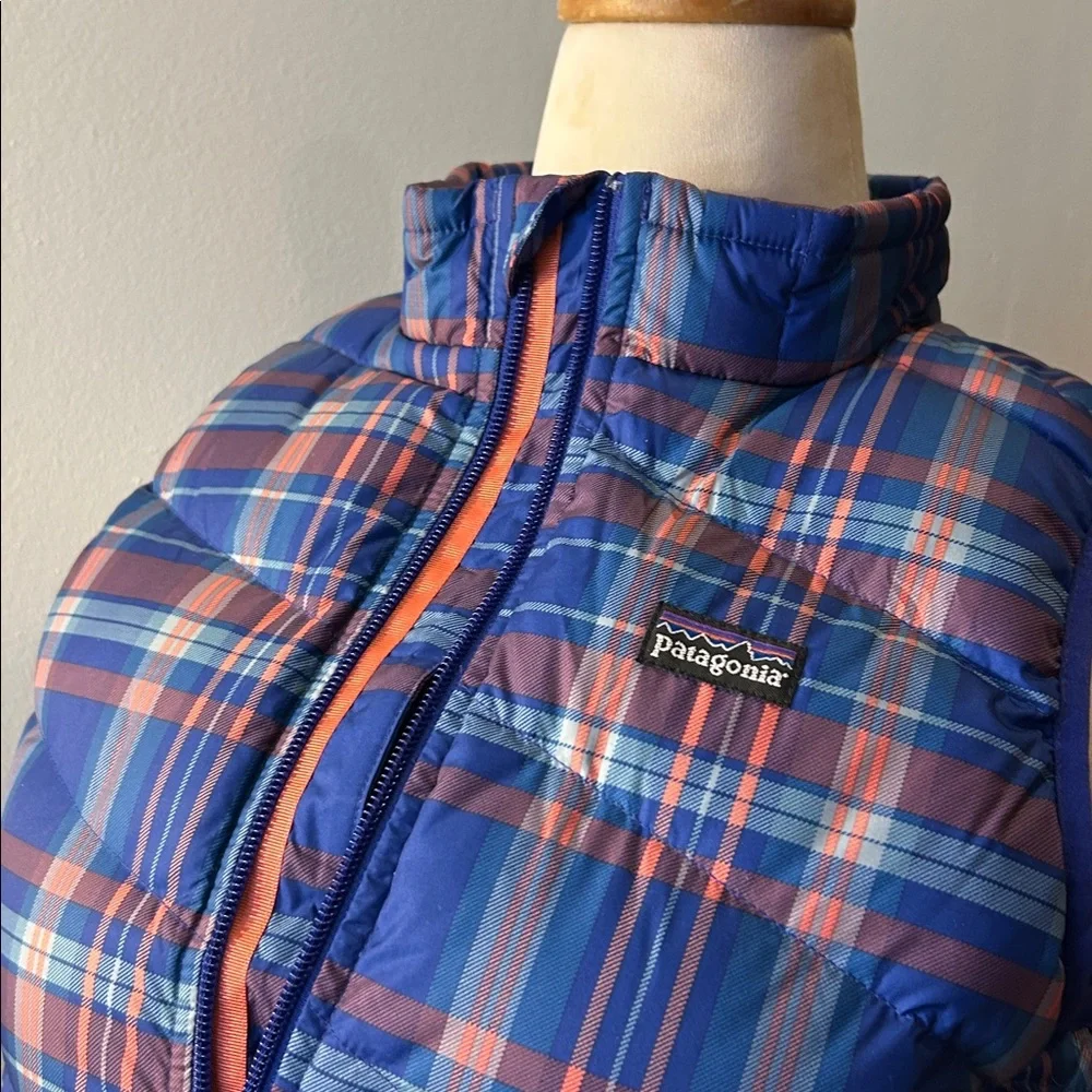 NWT Patagonia down vest